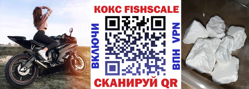 Кокаин Fish Scale  Купить закладки  Мензелинск 