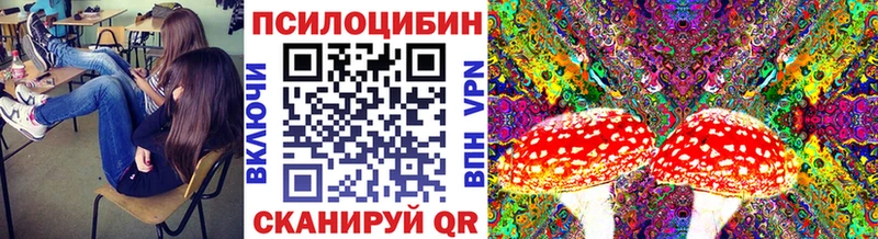 Купить  Мензелинск  Псилоцибиновые грибы Psilocybe 